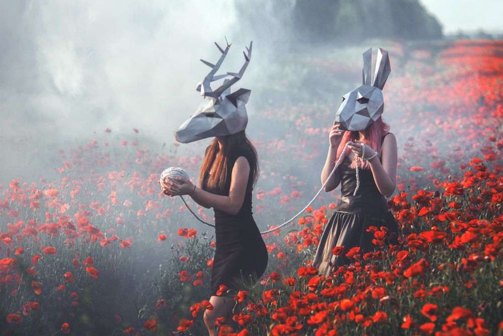 Маковое поле