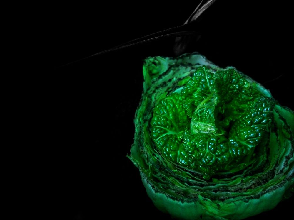 Photograph by Ma Leonor B Gonzales