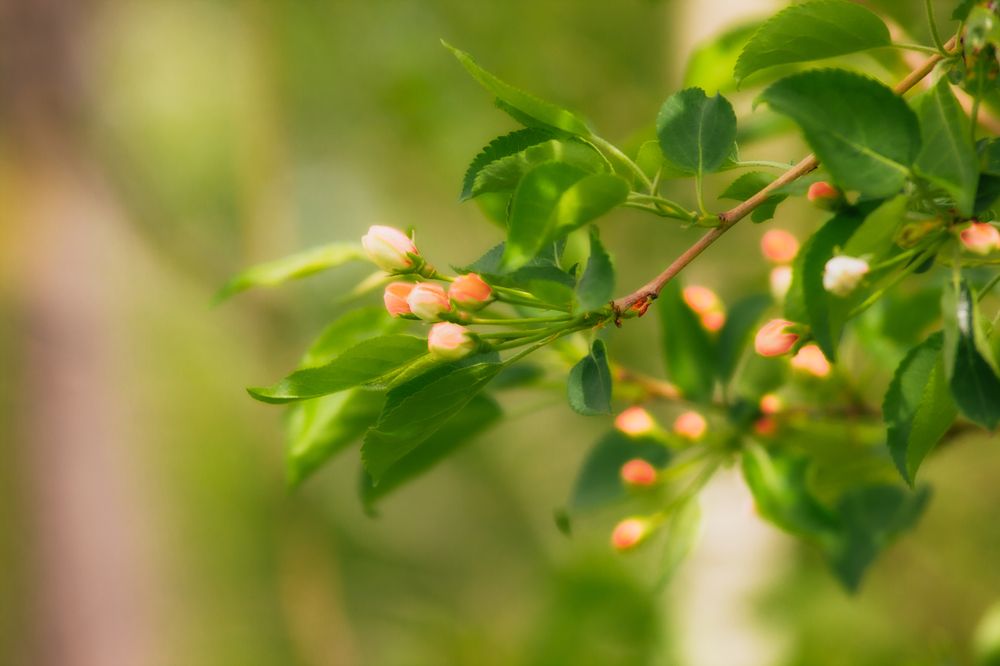 Photograph by Александр Жариков