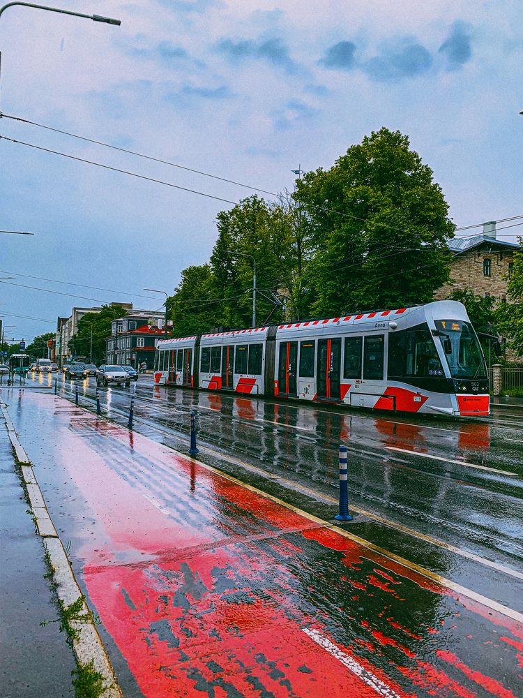 Photograph by Кристина Оксенюк