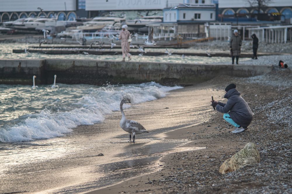 Фотосессия