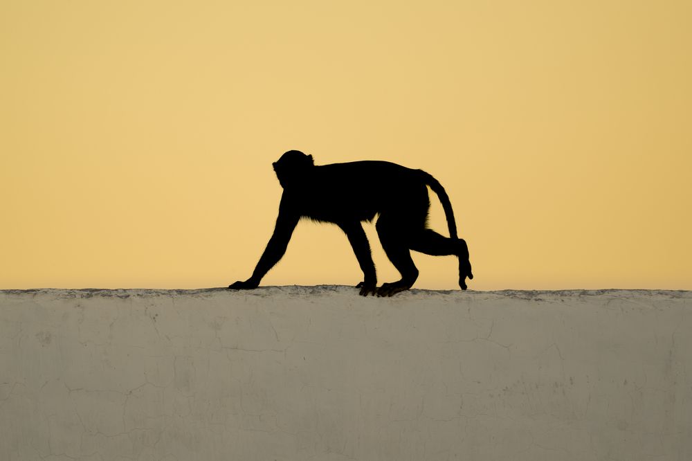 Photograph by Пупонин Сергей