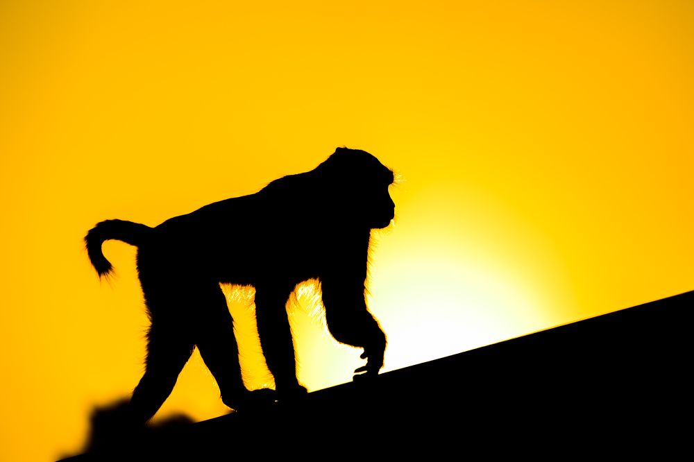 Photograph by Пупонин Сергей