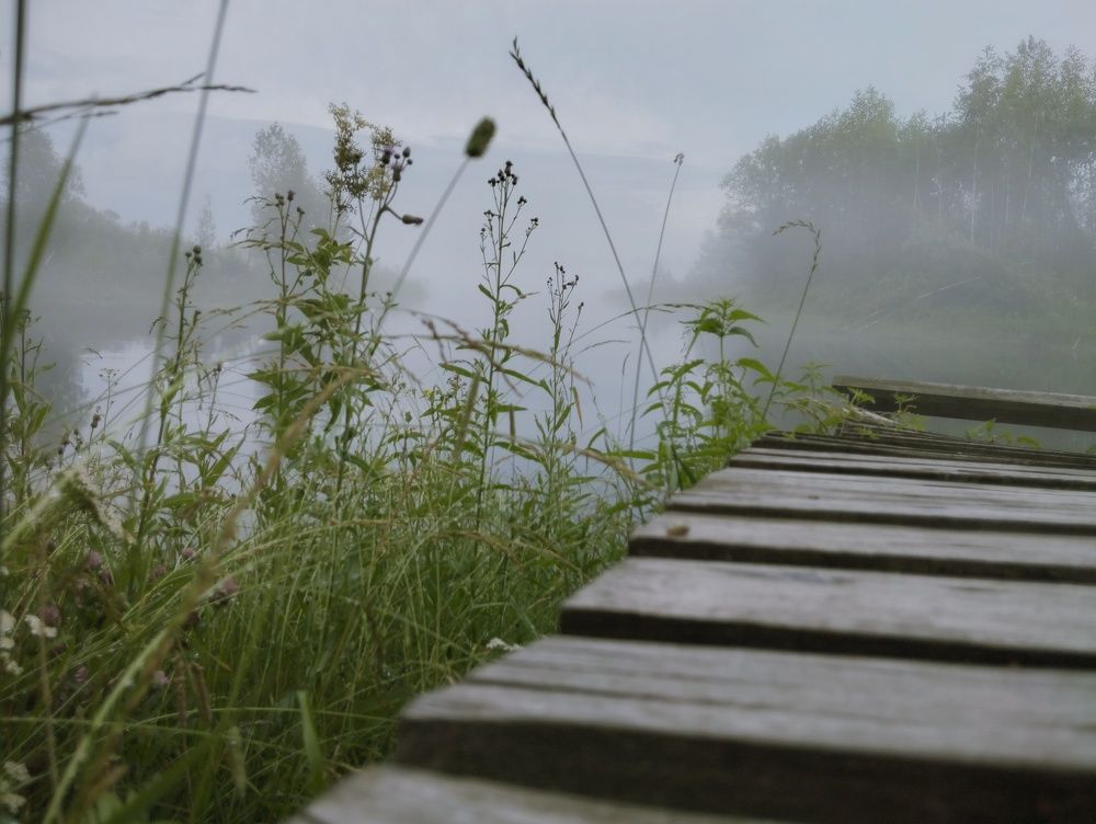 Photo #10882344