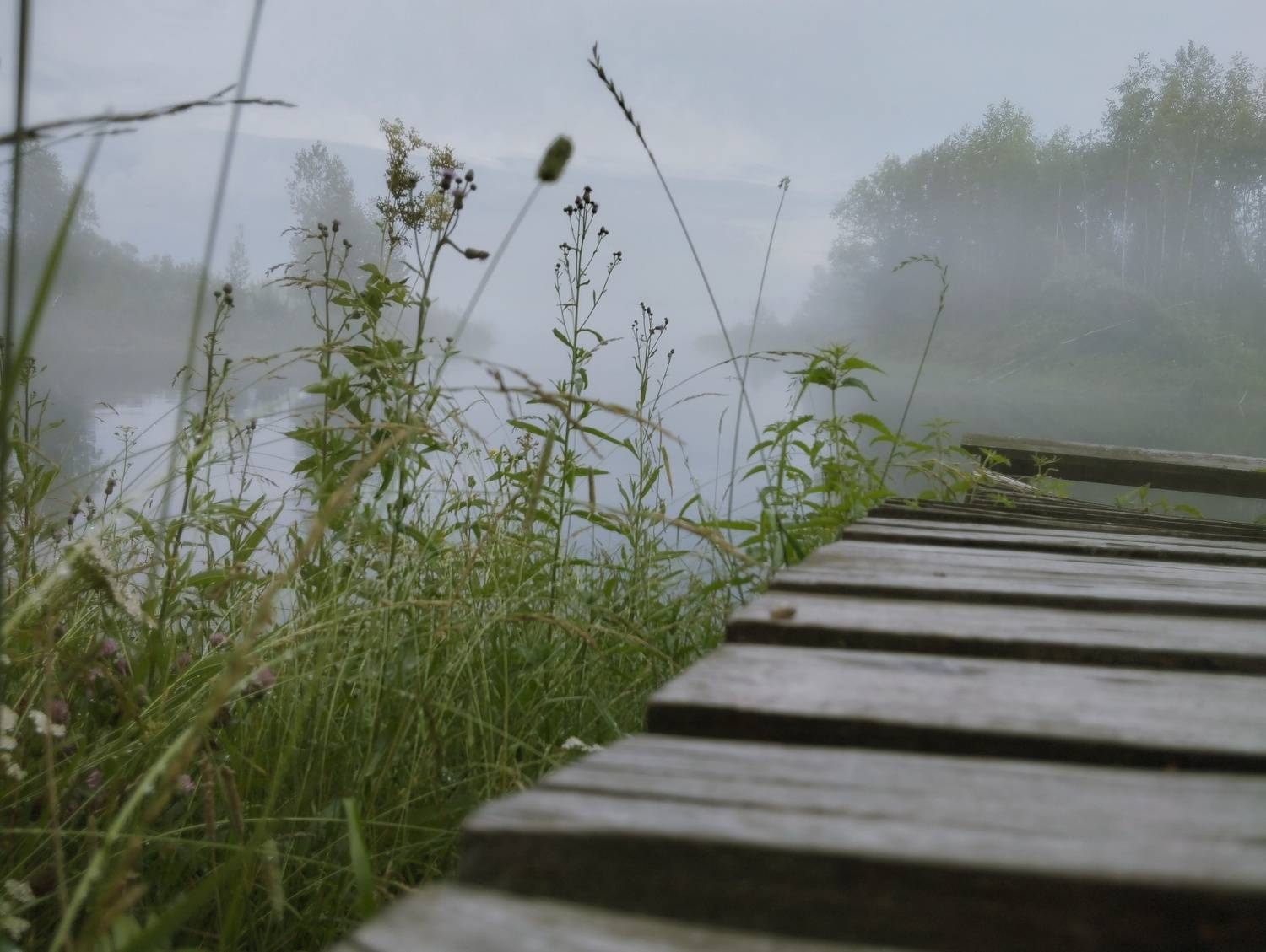 Photo #10882344