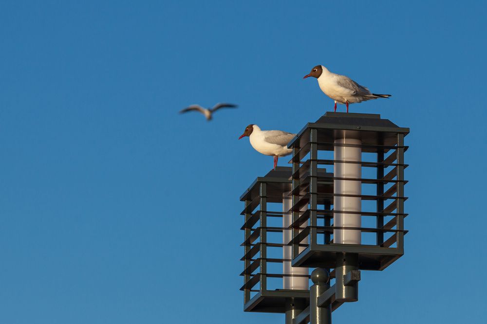Photograph by Денис Дорошенко