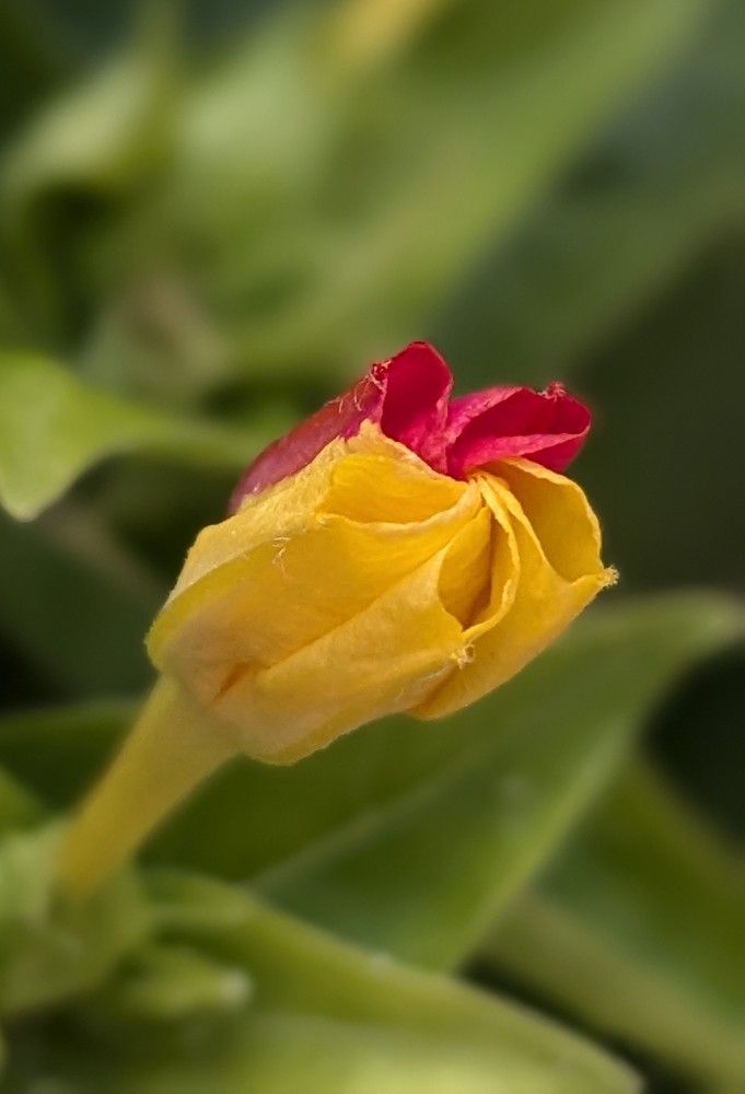 Photograph by Lilit Petrosyan