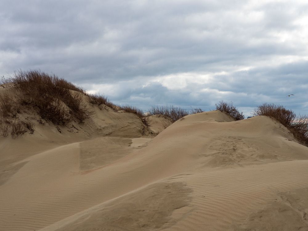 Photograph by Борис