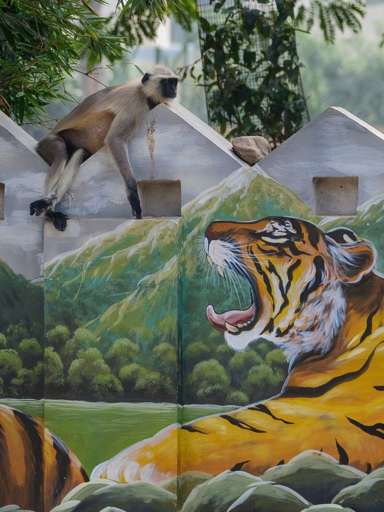 Photograph by Пупонин Сергей