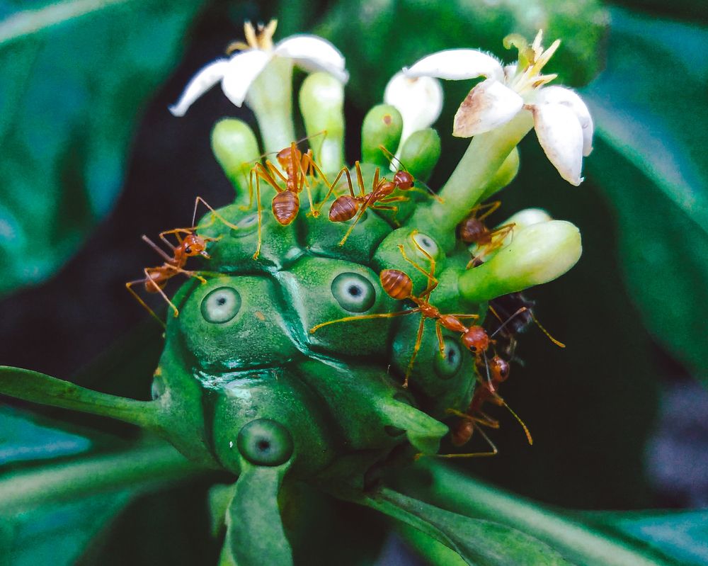 Photograph by Ma Leonor B Gonzales