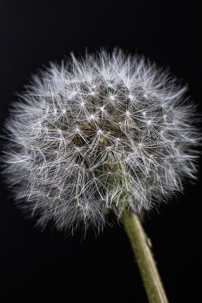 Photograph by Альфия Агзами