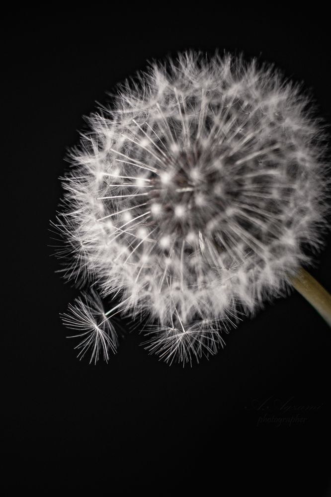 Photograph by Альфия Агзами