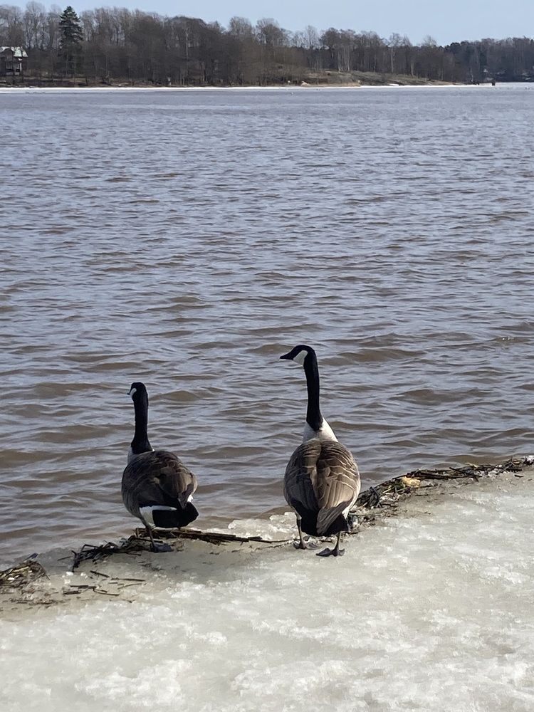 Фотография автора Алина Павлова