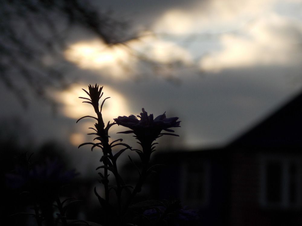 Фотография автора Антонина Клементьева