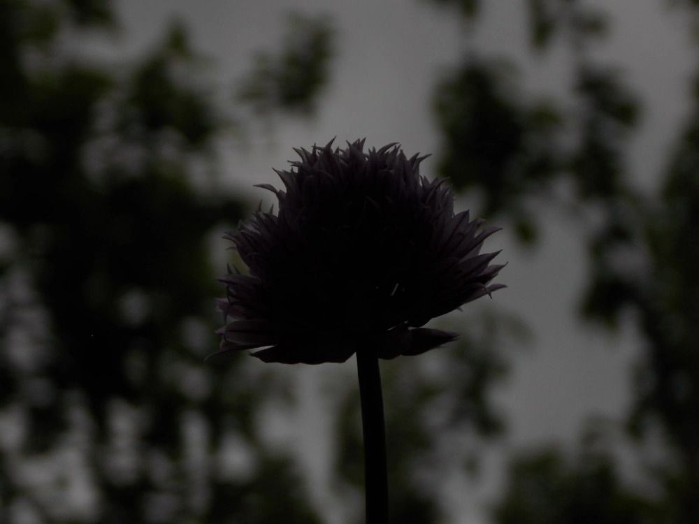 Photograph by Антонина Клементьева