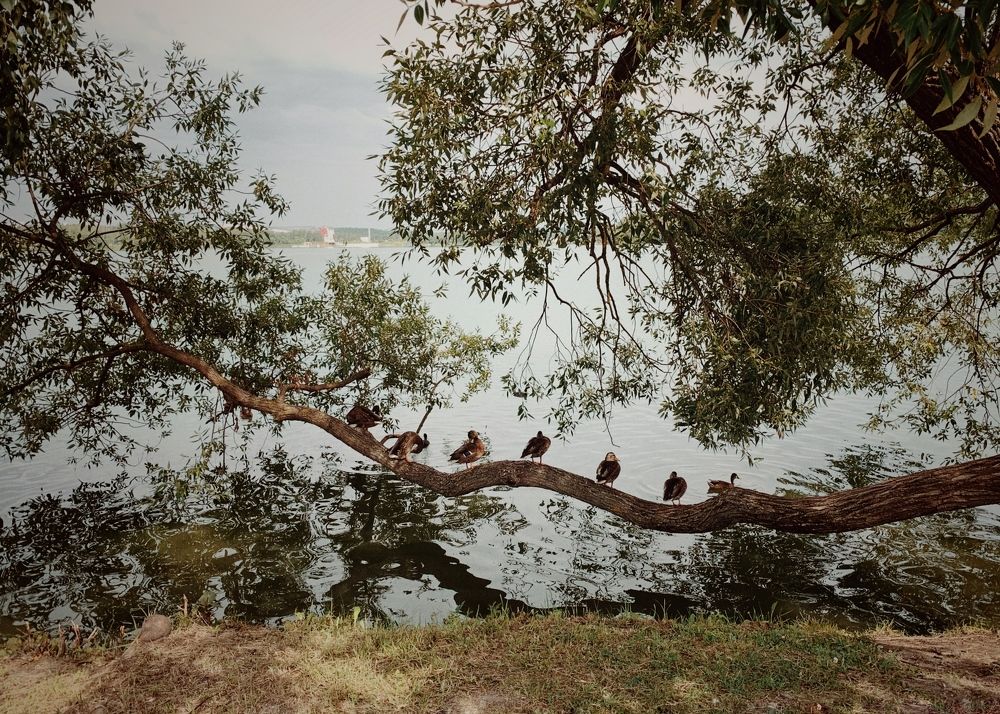 Photograph by Надежда Смирнова