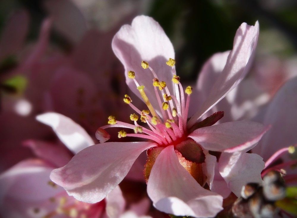 Photograph by Марина Раткун