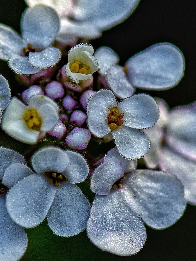 Photograph by Василиса Прекрасная