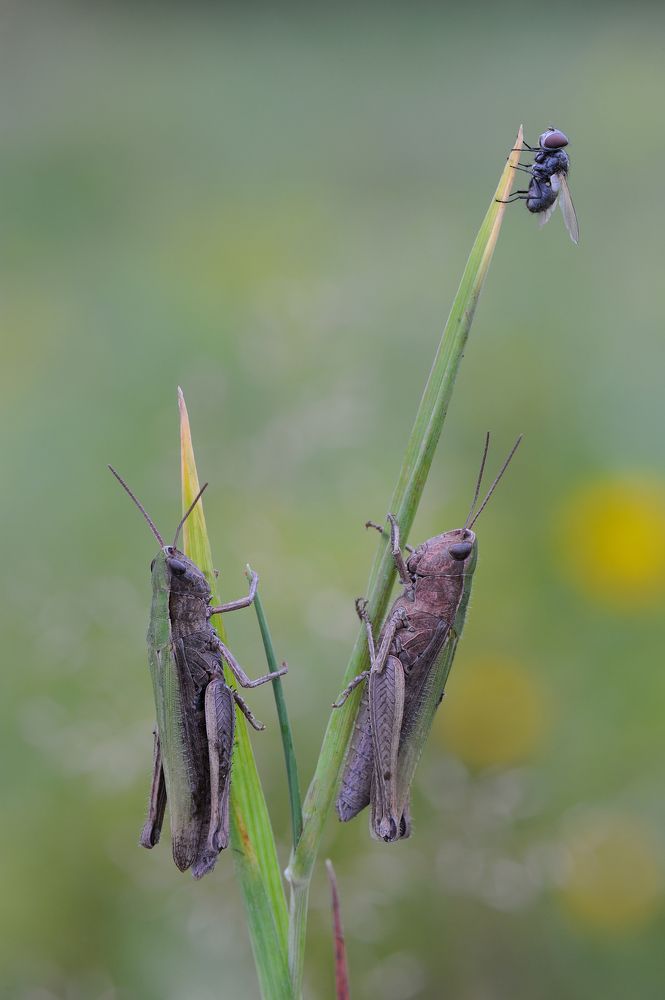 Photograph by Чистяков Андрей