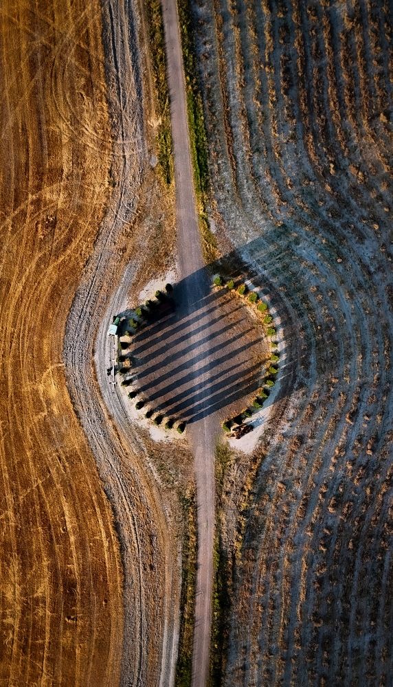 Photograph by Henri Fitriadi