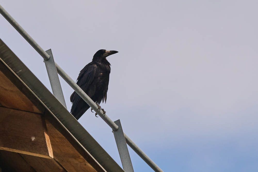 Photograph by Дмитрий Солодухин