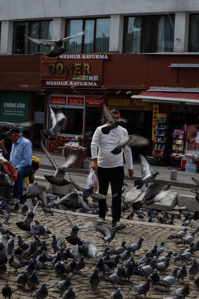 Photograph by Evgenia Korchagova