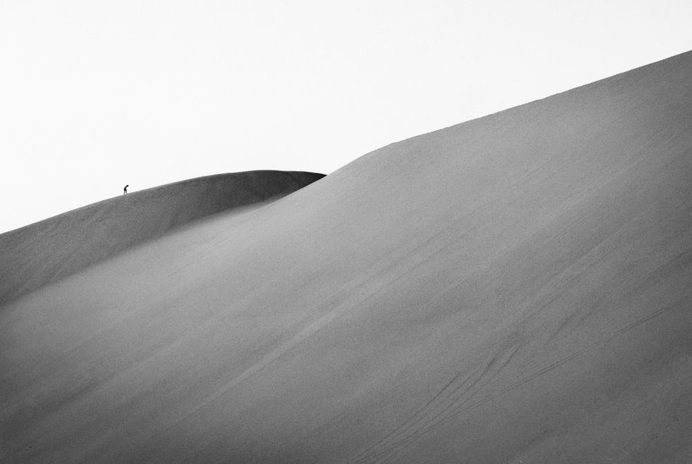 Фотография автора Mojtaba Chenari