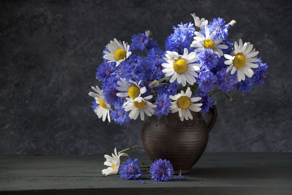 Photograph by Галина Щипакина