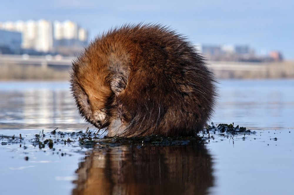 Photograph by Багурский Алексей