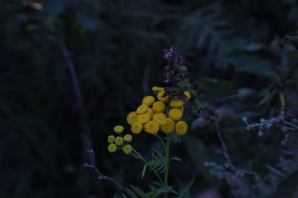 Photograph by Макарова Татьяна