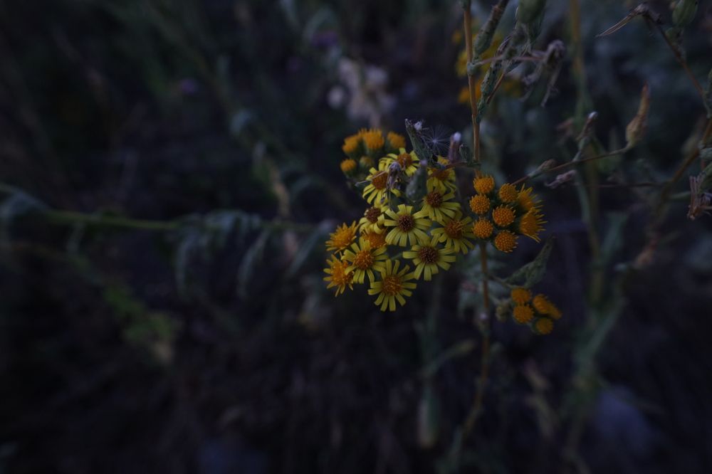 Photograph by Макарова Татьяна