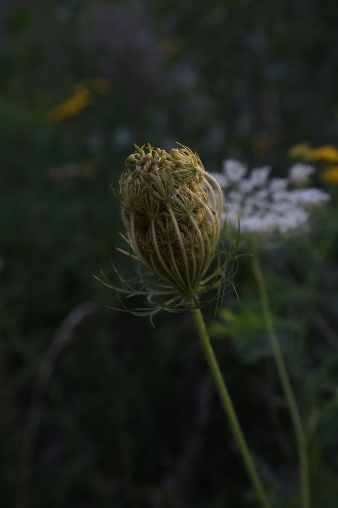 Photograph by Макарова Татьяна