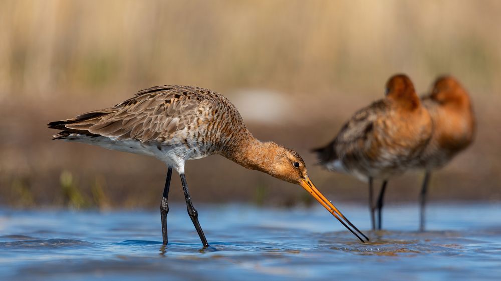 Photograph by crashfil