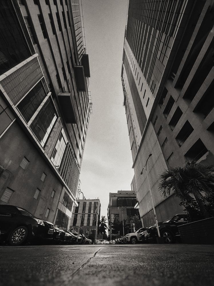 Photograph by Saptarshi Dhar