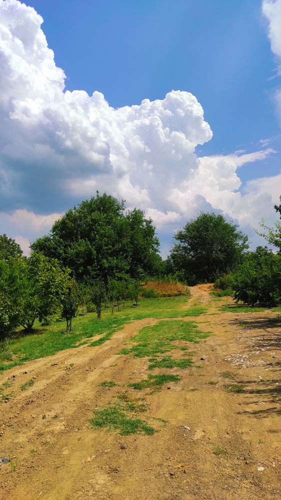 Photograph by Ирина Адлер