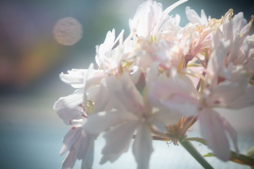 Фотография автора Алина Руденко