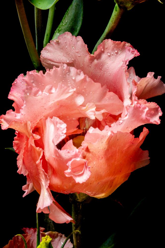 Photograph by Князев Сергей