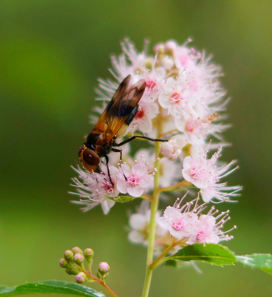 Photograph by Ольга Слугина