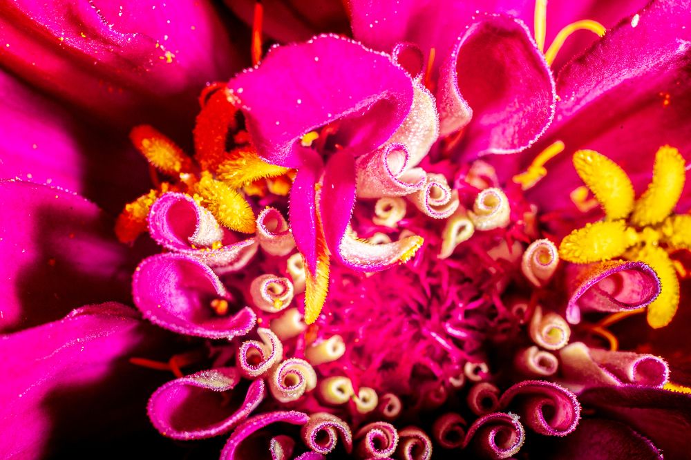 Photograph by Князев Сергей