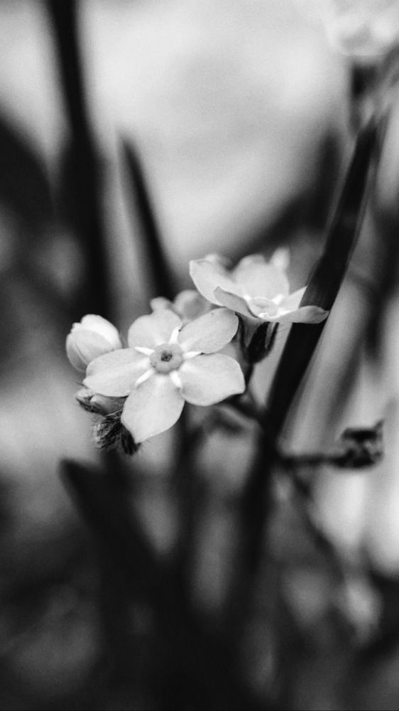 Photograph by Анна Белова