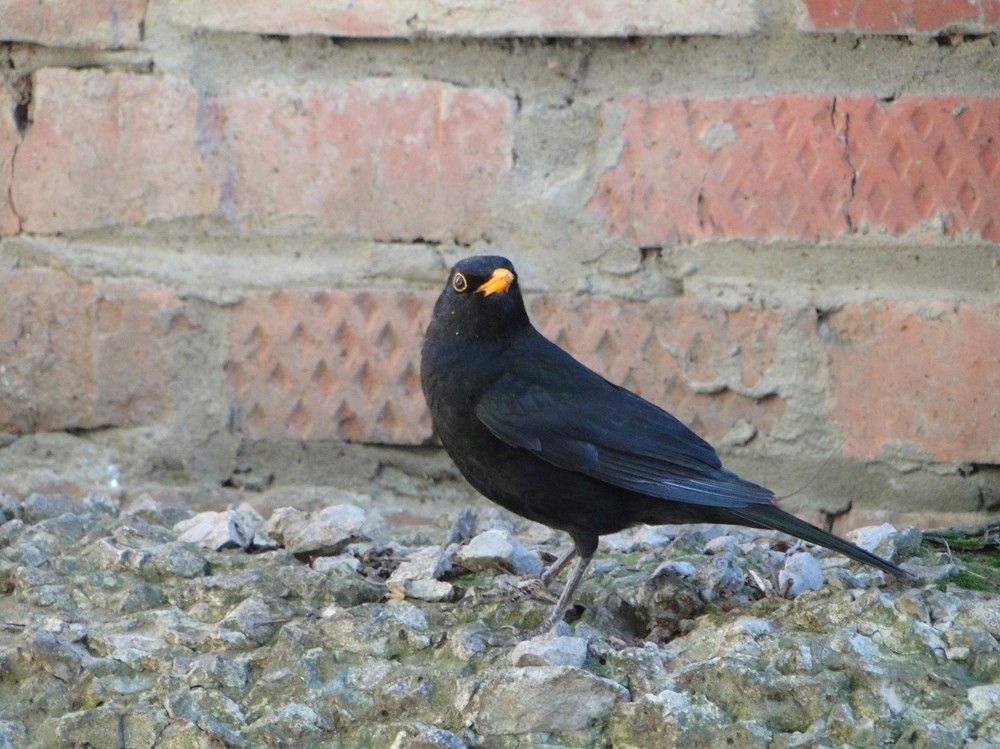 Photograph by Оксана Архипова