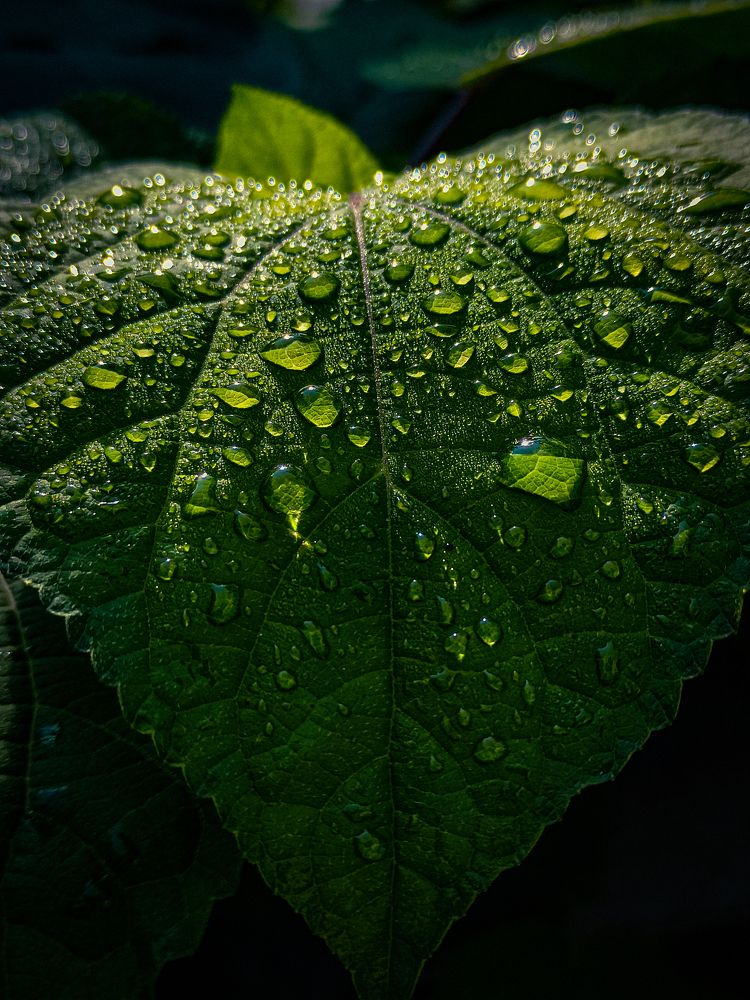 Photograph by Кристина Полякова