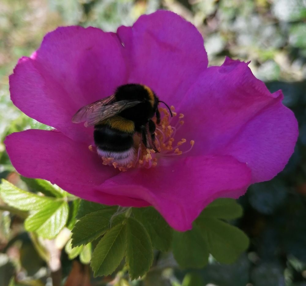 Photograph by Наталия