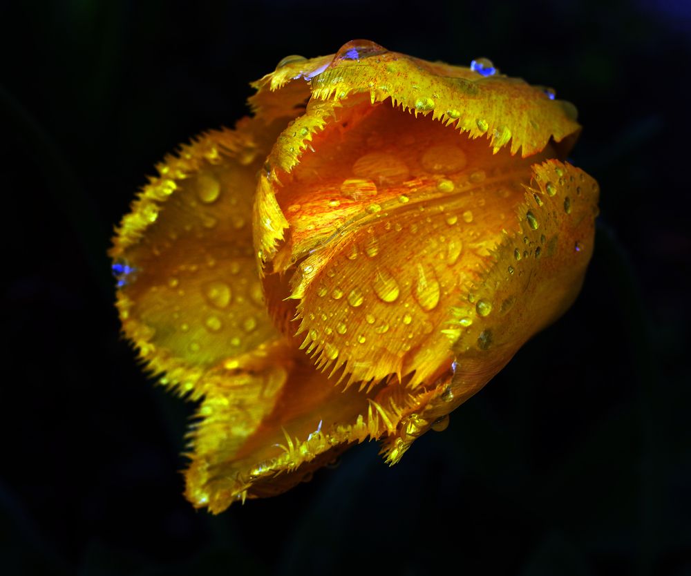 Фотография автора Сергей Гречихин