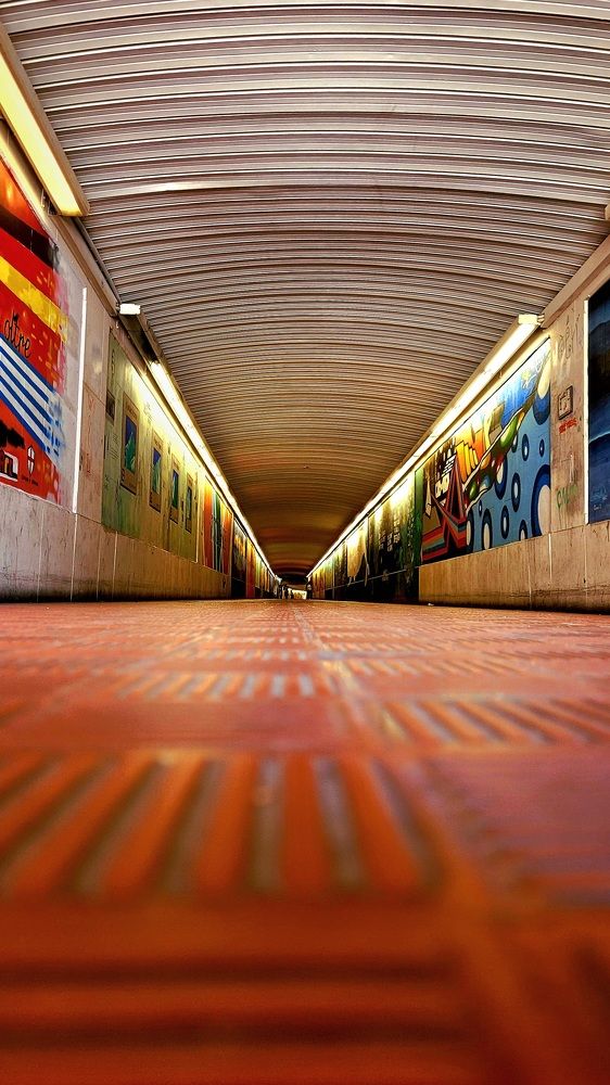 Photograph by claudia