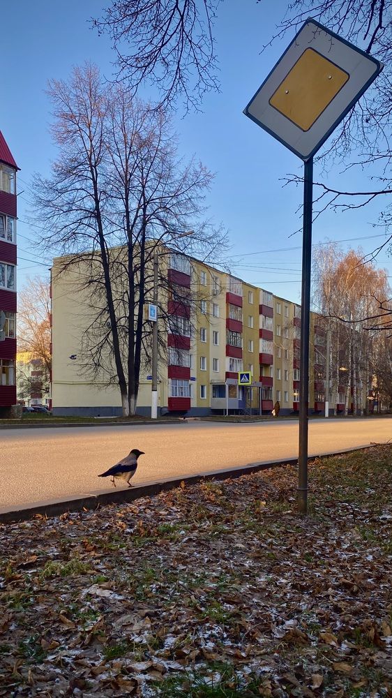 Photograph by Наталья Богаткина