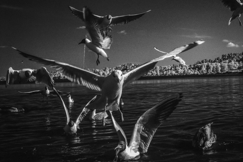 Фотография автора Ruslan Badykov