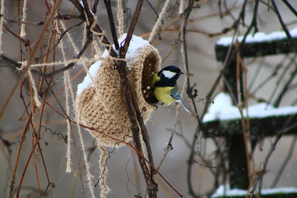 Photograph by Светлана Шуткова