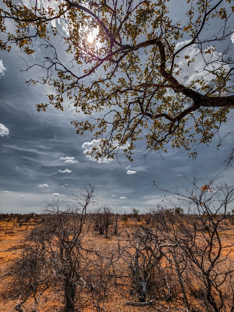 Photograph by Renato Fernandes Bandeira