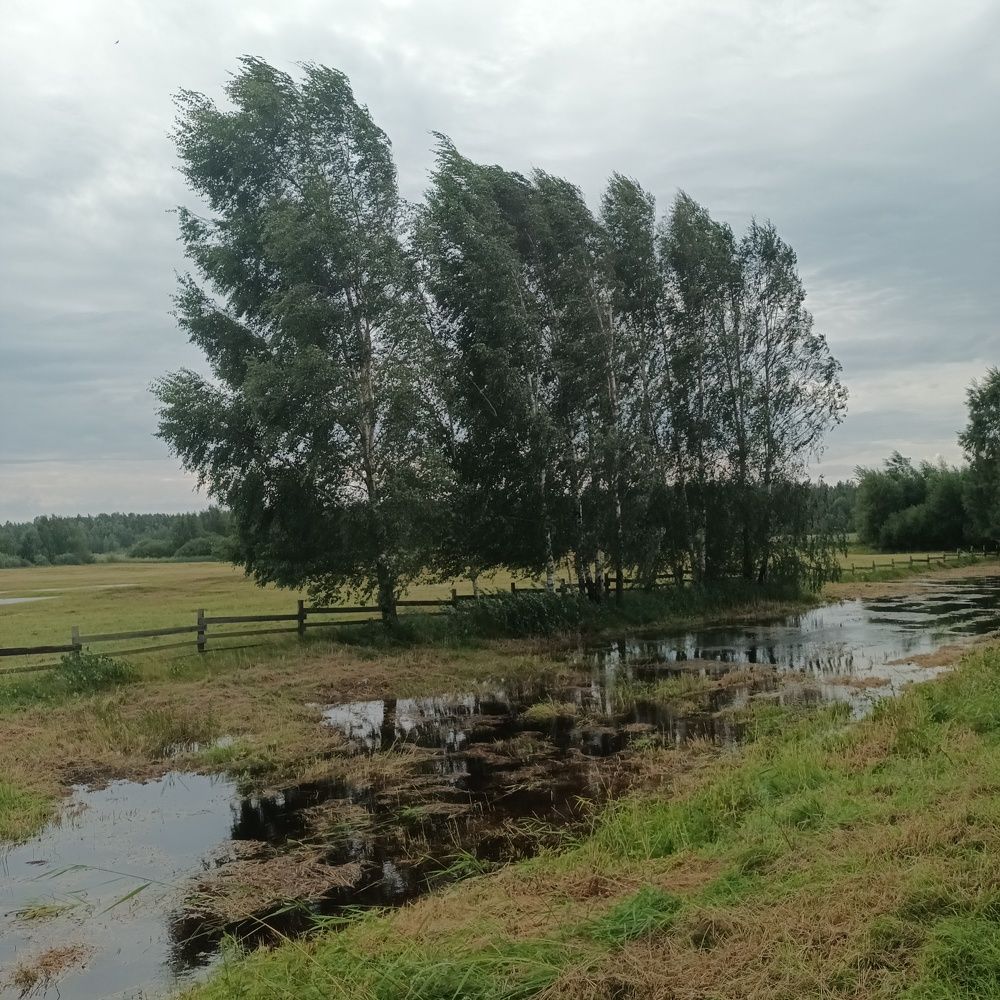 Фотография автора Maks Lanister